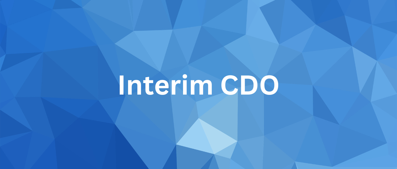 interim-cdo-interimleder