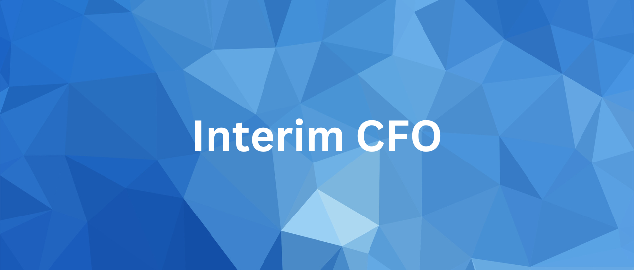 interim-cfo-interimleder