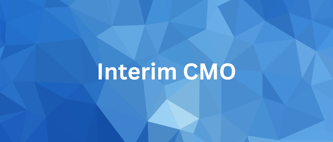 interim-cmo-interimleder